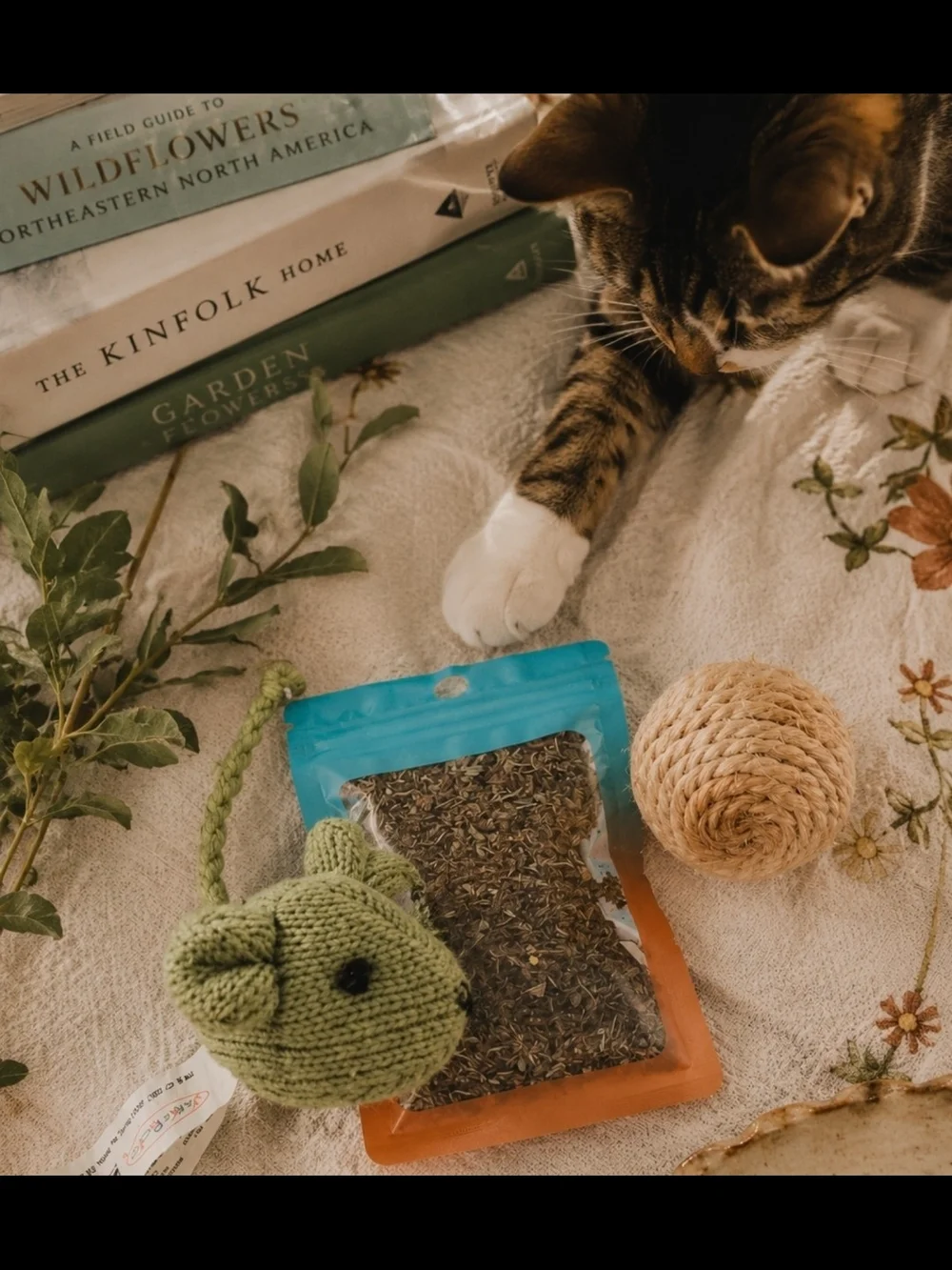 4/$15 Catnip Toy Bundle W/ Green Knit Mouse and Natural Sisal Ball Natural Home